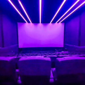 43. Birthday Surprise – Private Theatre Setup